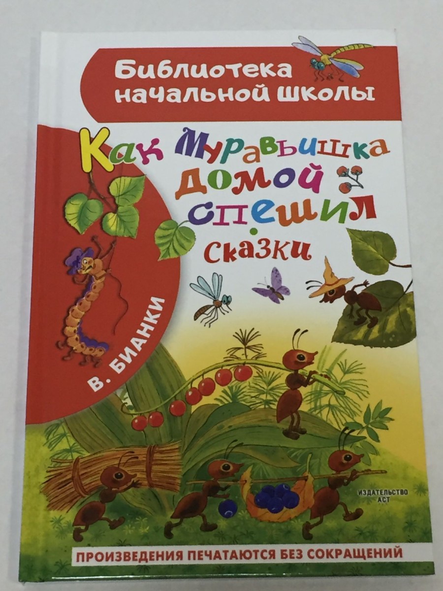 Как Муравьишка домой спешил. Сказки. Бианки В.В.