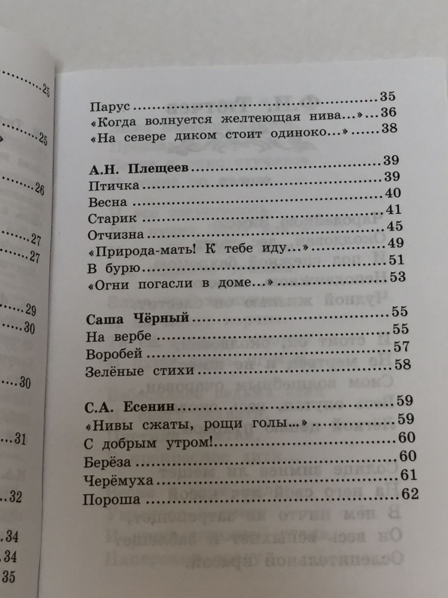 Стихи поэтов-классиков XIX-XX веков. 4-е изд.